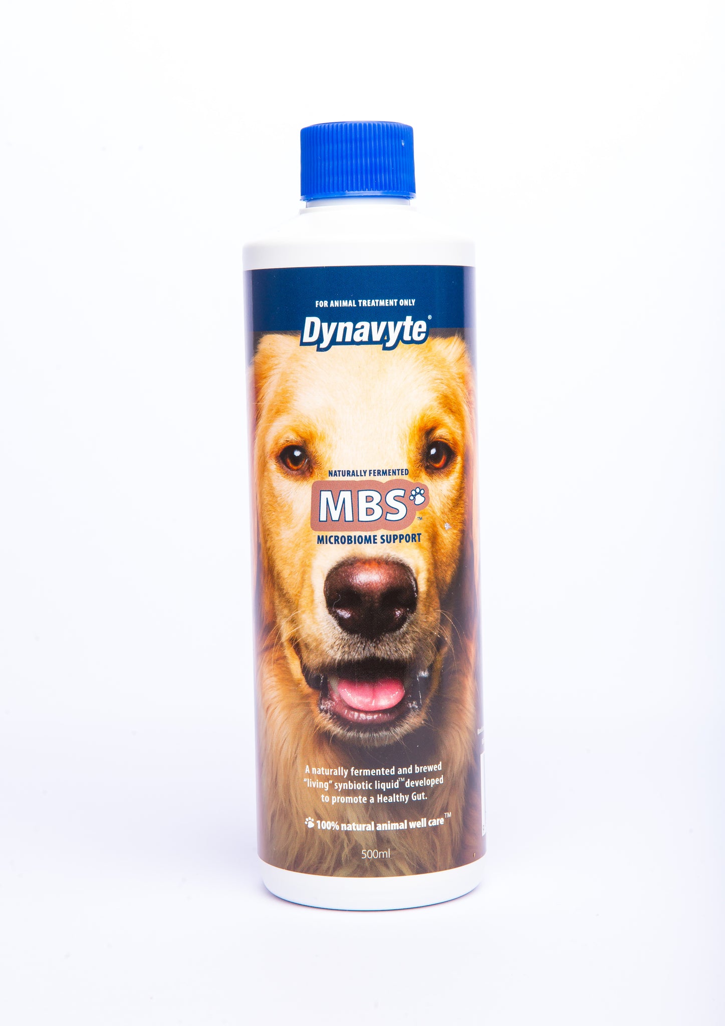 Dynavyte MBS Large Dog